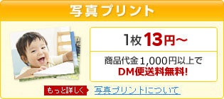 ◆写真プリント[1枚12円～ / 商品代金1,000円以上でDM便送料無料！] 